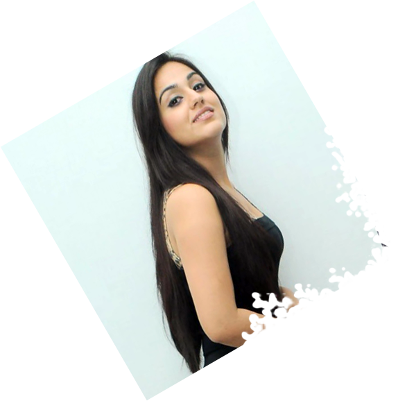 EGYPT SEX intelligence overview